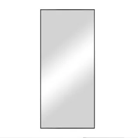 47-in H x 21-in W Wall Mirror