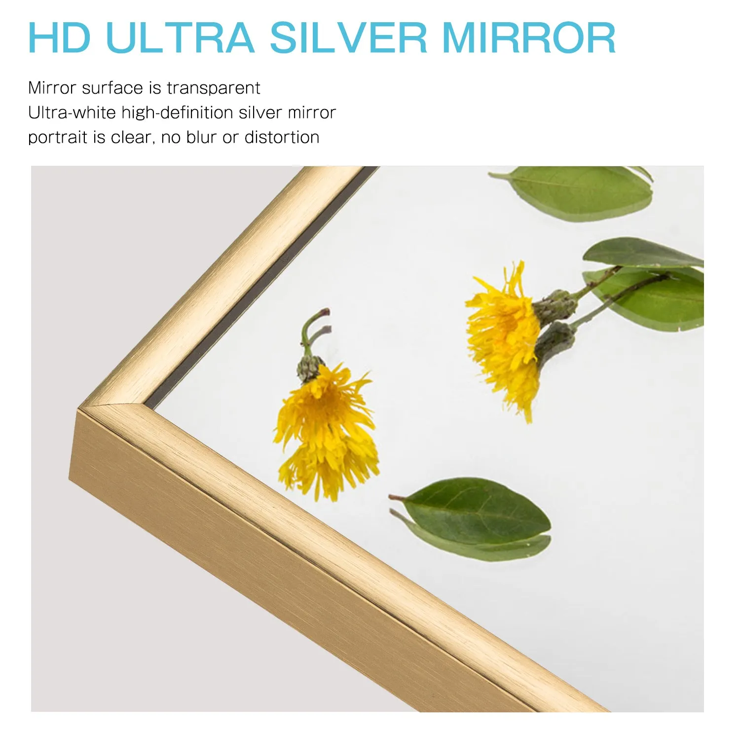 51"x32" Cozy Style Full Size Mirror Bathroom Full Length Wall Mirror