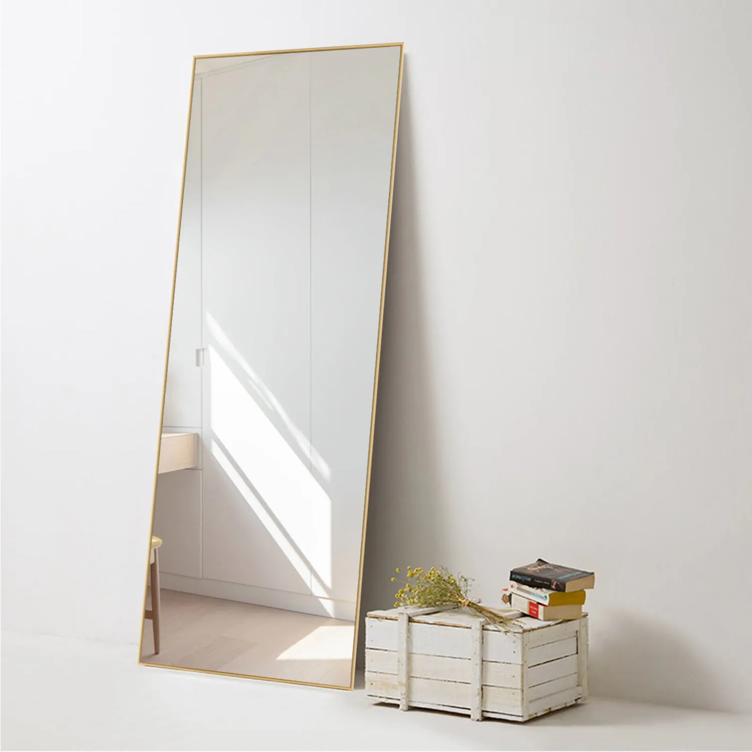 59-in H x 20-in W Wall Mirror