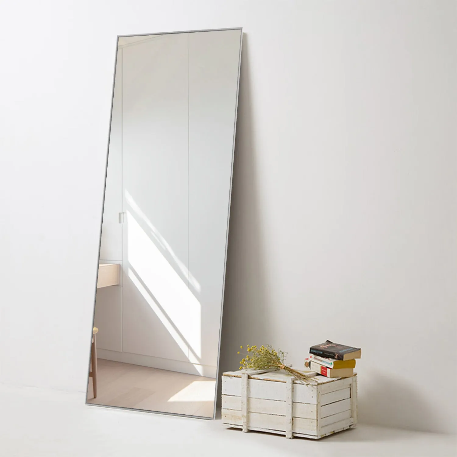59-in H x 20-in W Wall Mirror