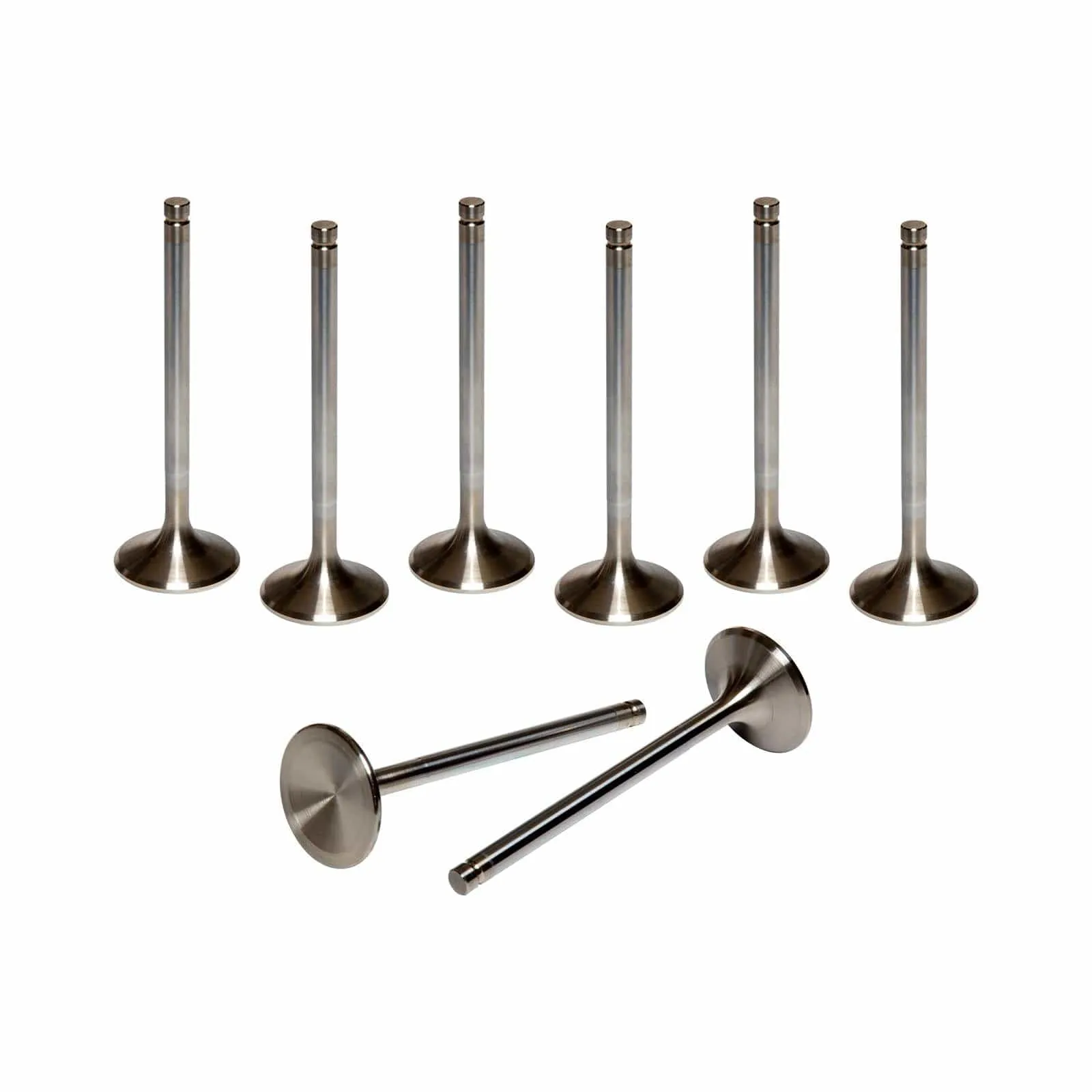 AFR Replacement Stainless Steel Valves 7228-8