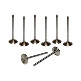 AFR Replacement Stainless Steel Valves 7228-8
