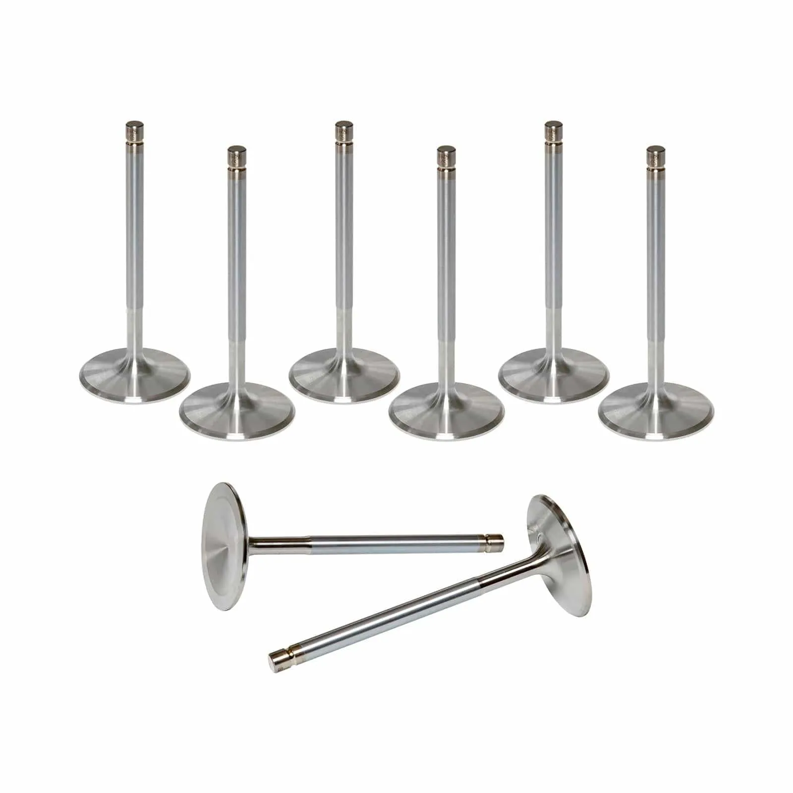 AFR Replacement Stainless Steel Valves 7251-8