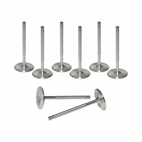 AFR Replacement Stainless Steel Valves 7251-8