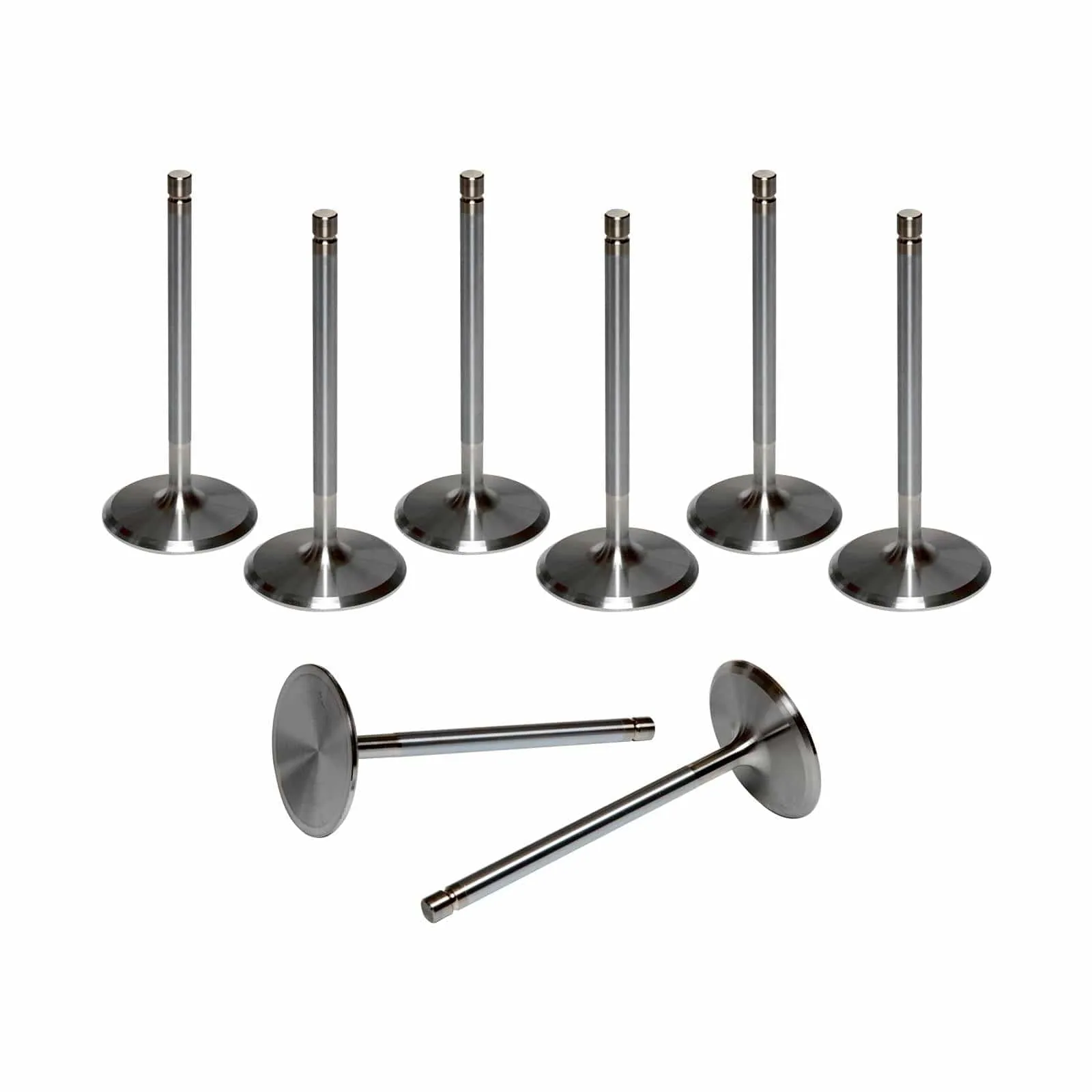 AFR Replacement Stainless Steel Valves 7253-8