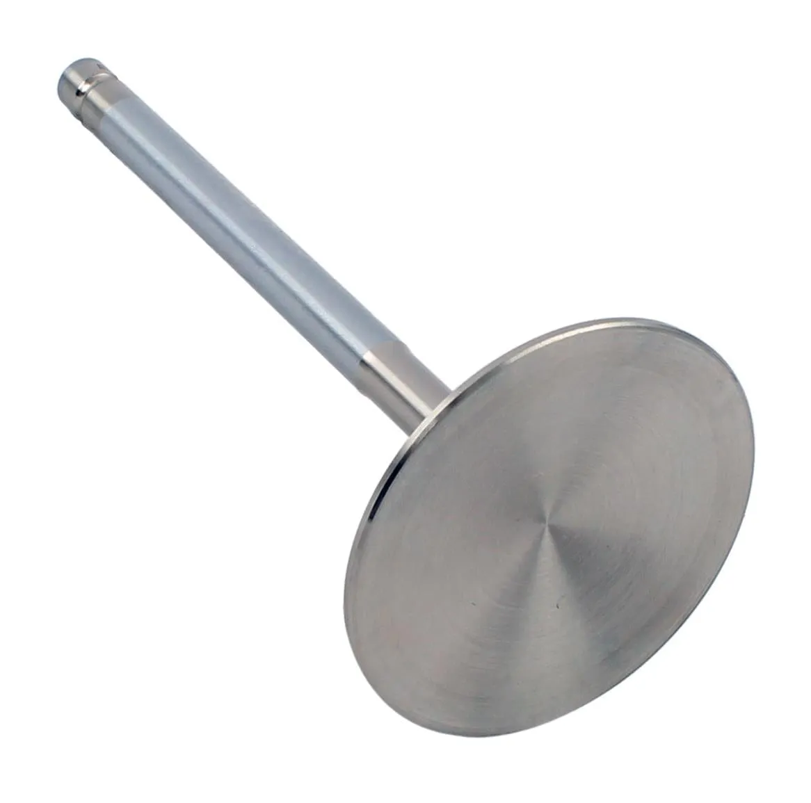 AFR Replacement Stainless Steel Valves 7552-1