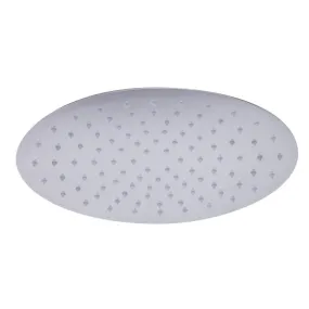 ALFI brand RAIN128 12" Oval Ultra Thin Rain Shower Head Stainless Steel