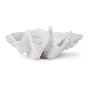 BIMINI CLAM