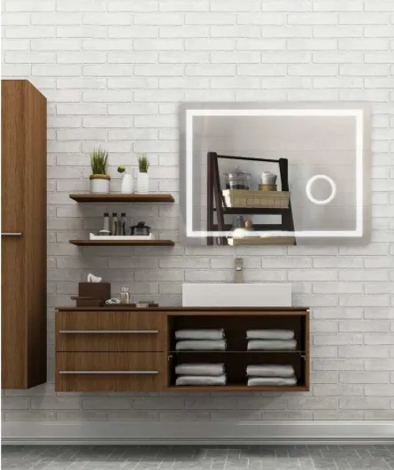 Canarm LM101A4836D 24 X 36 LED Mirror With Built In De-Fogger and Color Temperature Select
