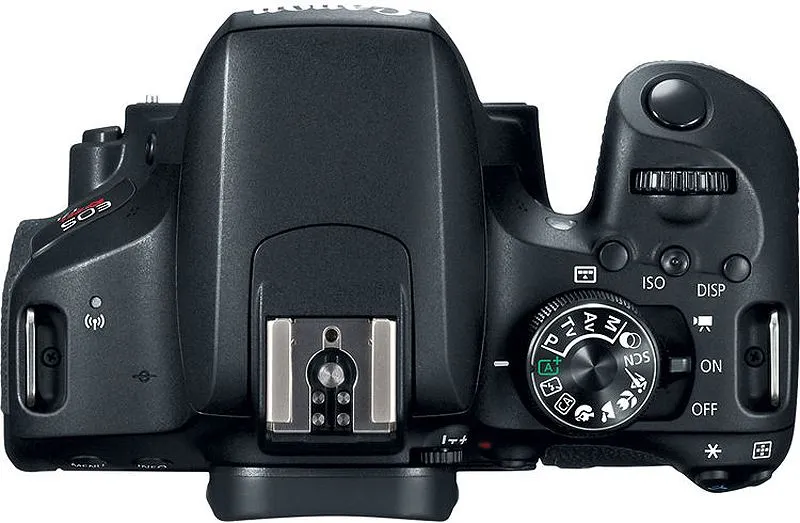Canon EOS Rebel T7i DSLR Camera Body - 1894C001
