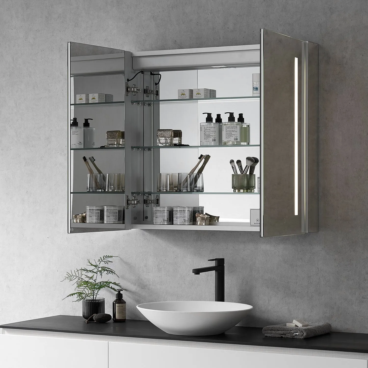 Catola Rectangle Frameless Surface-Mount/Recessed LED Lighted Bathroom Medicine Cabinet