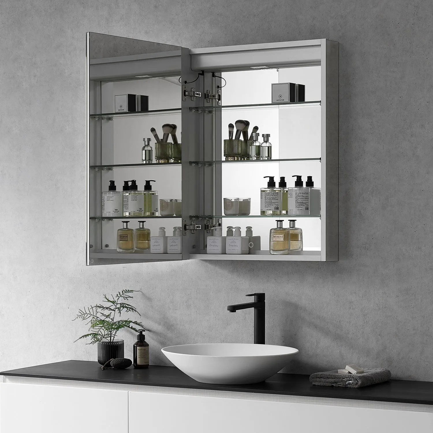 Catola Rectangle Frameless Surface-Mount/Recessed LED Lighted Bathroom Medicine Cabinet