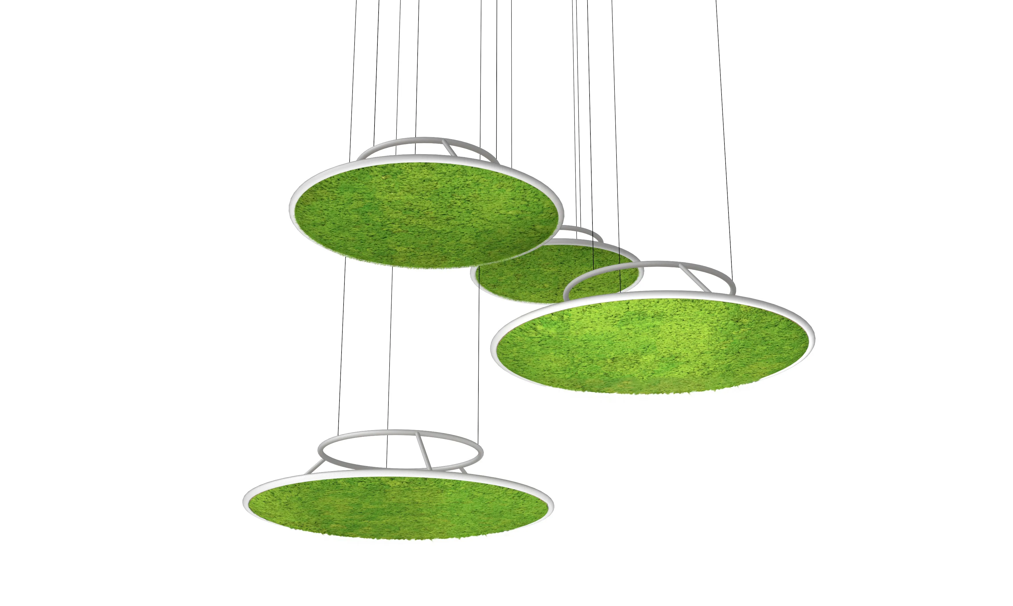 Circles Plant and Moss Wall Art
