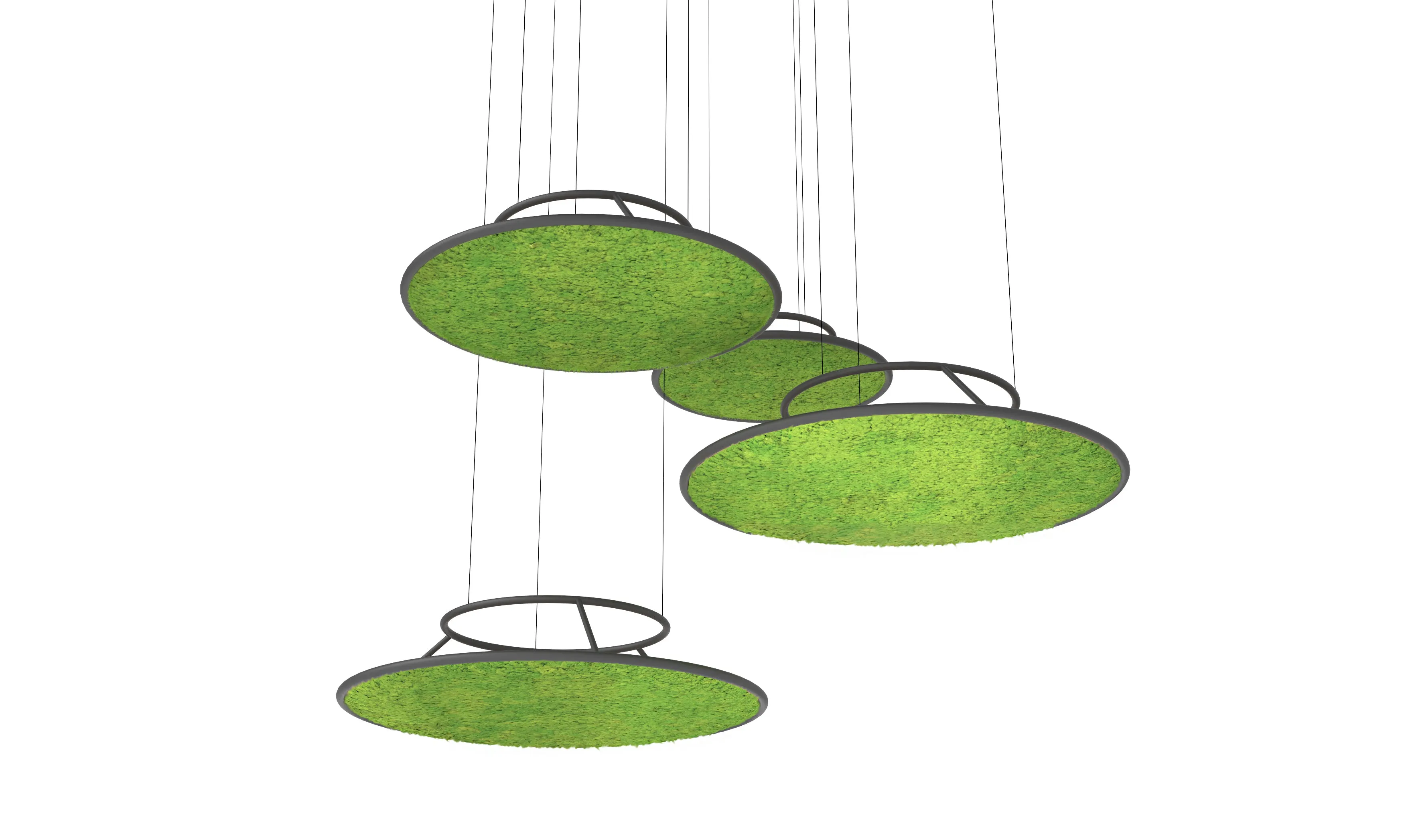 Circles Plant and Moss Wall Art