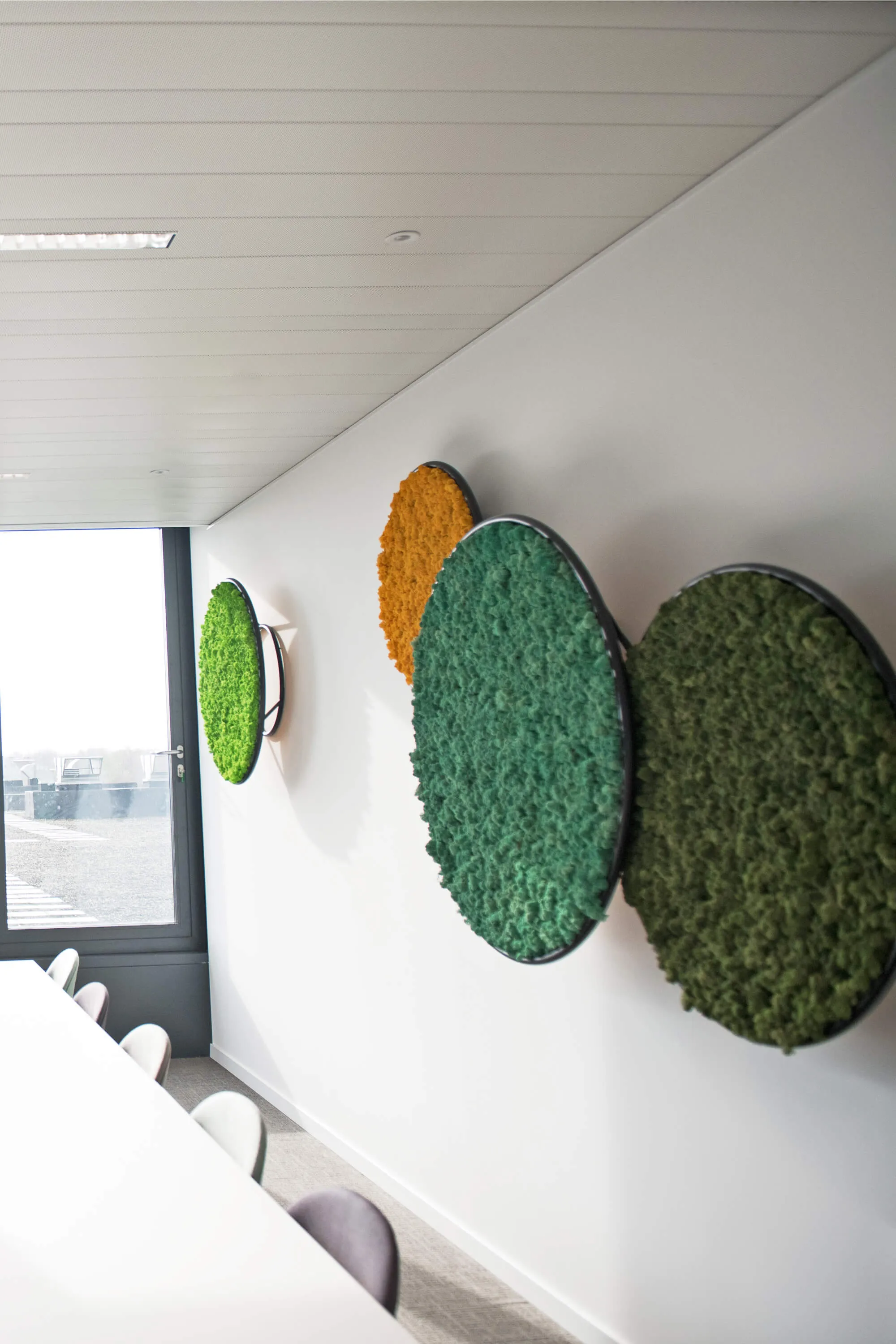 Circles Plant and Moss Wall Art