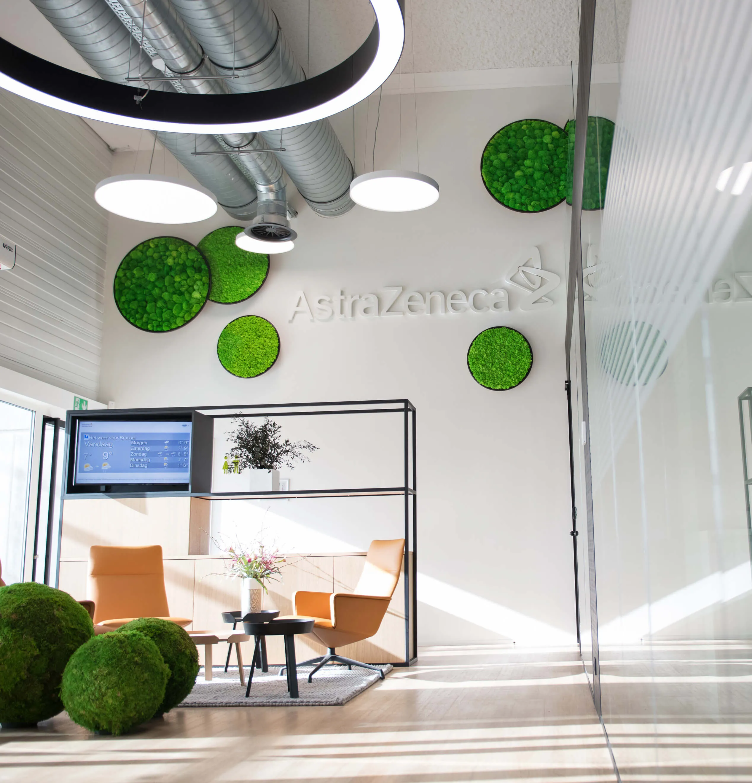 Circles Plant and Moss Wall Art