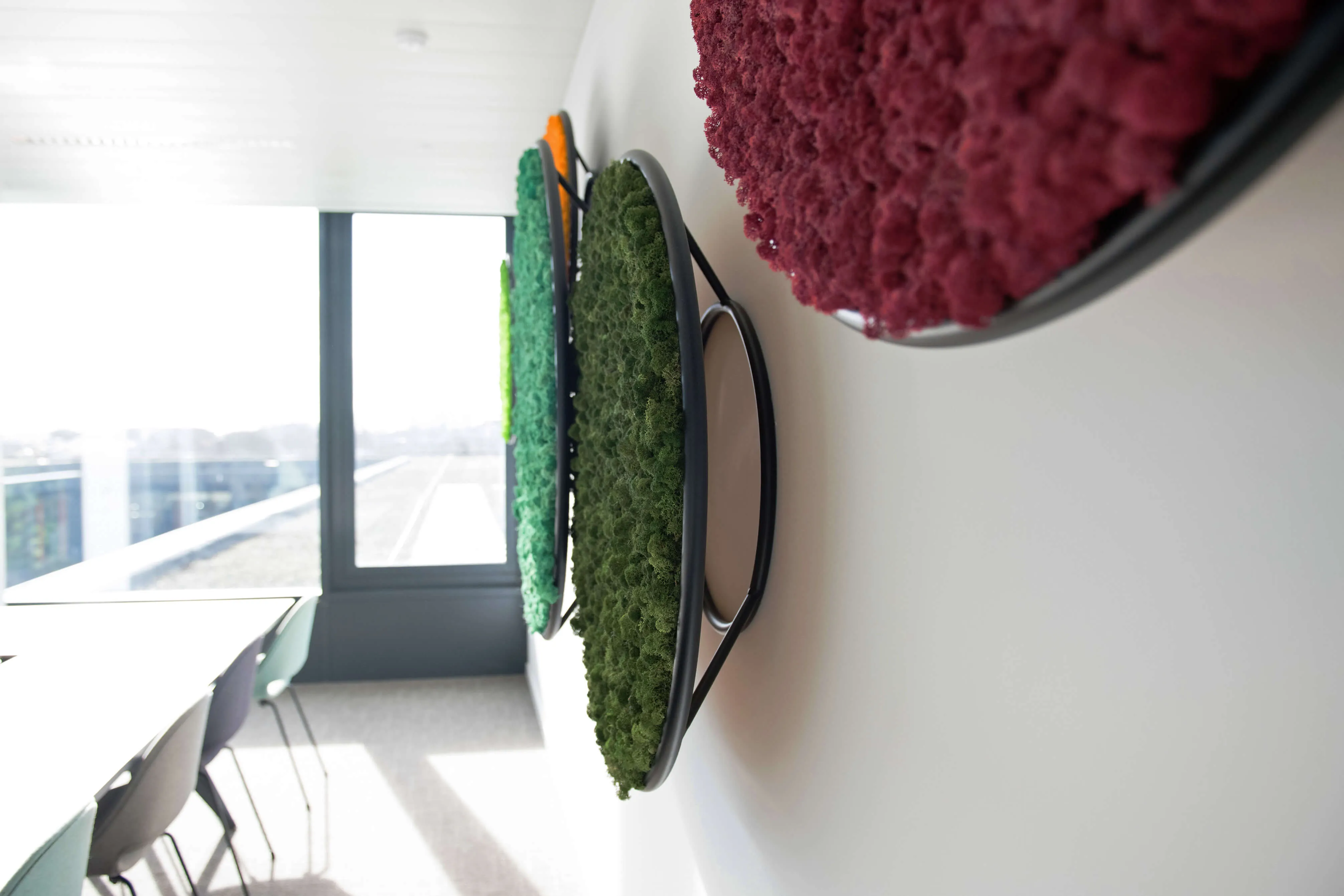 Circles Plant and Moss Wall Art
