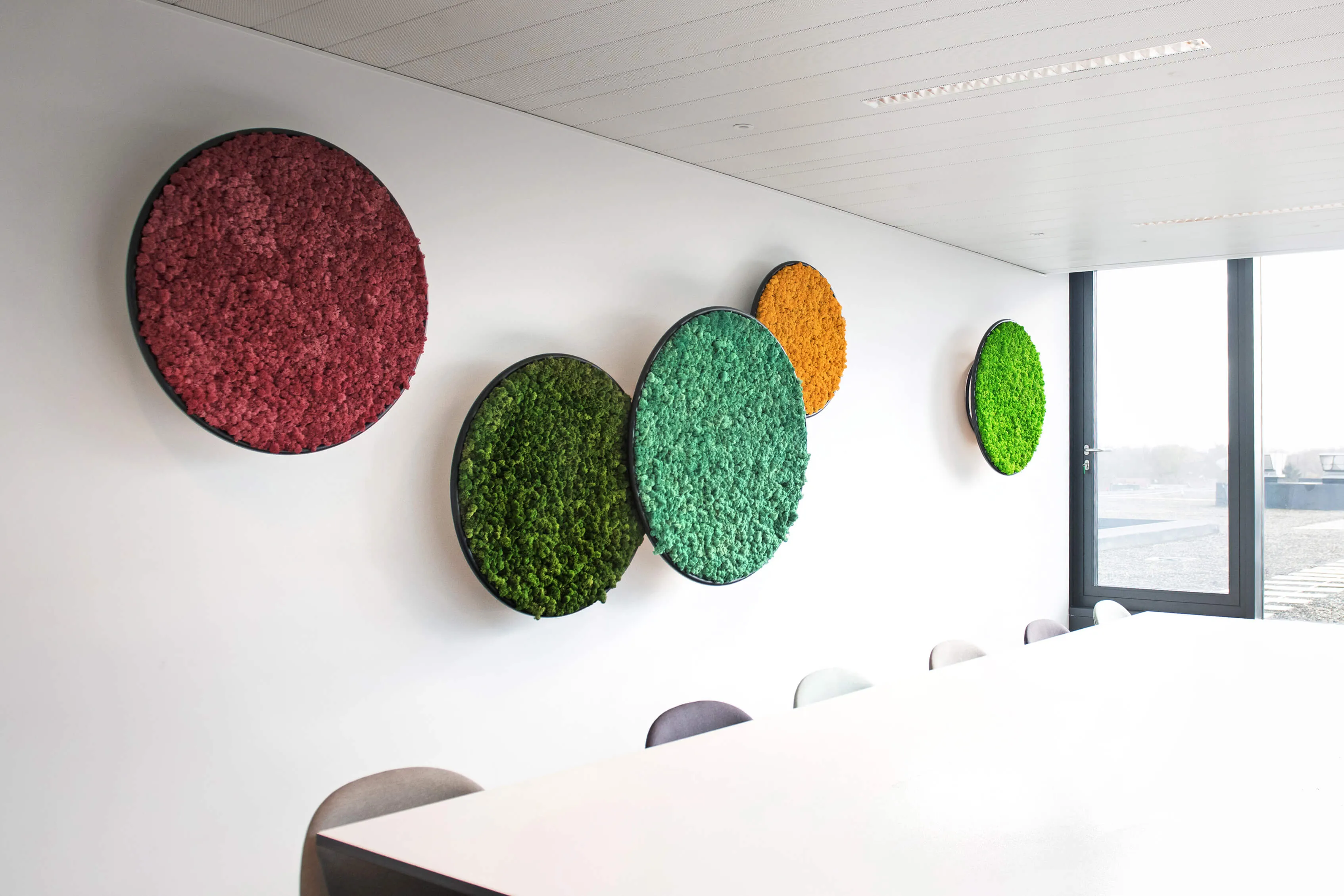 Circles Plant and Moss Wall Art