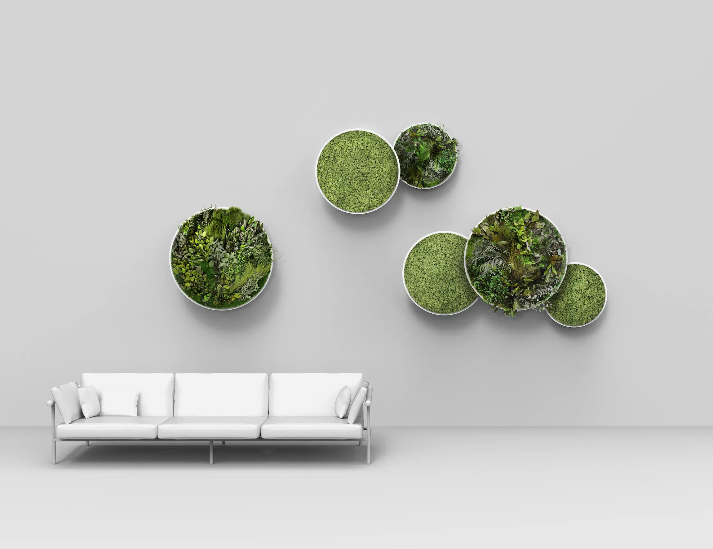Circles Plant and Moss Wall Art