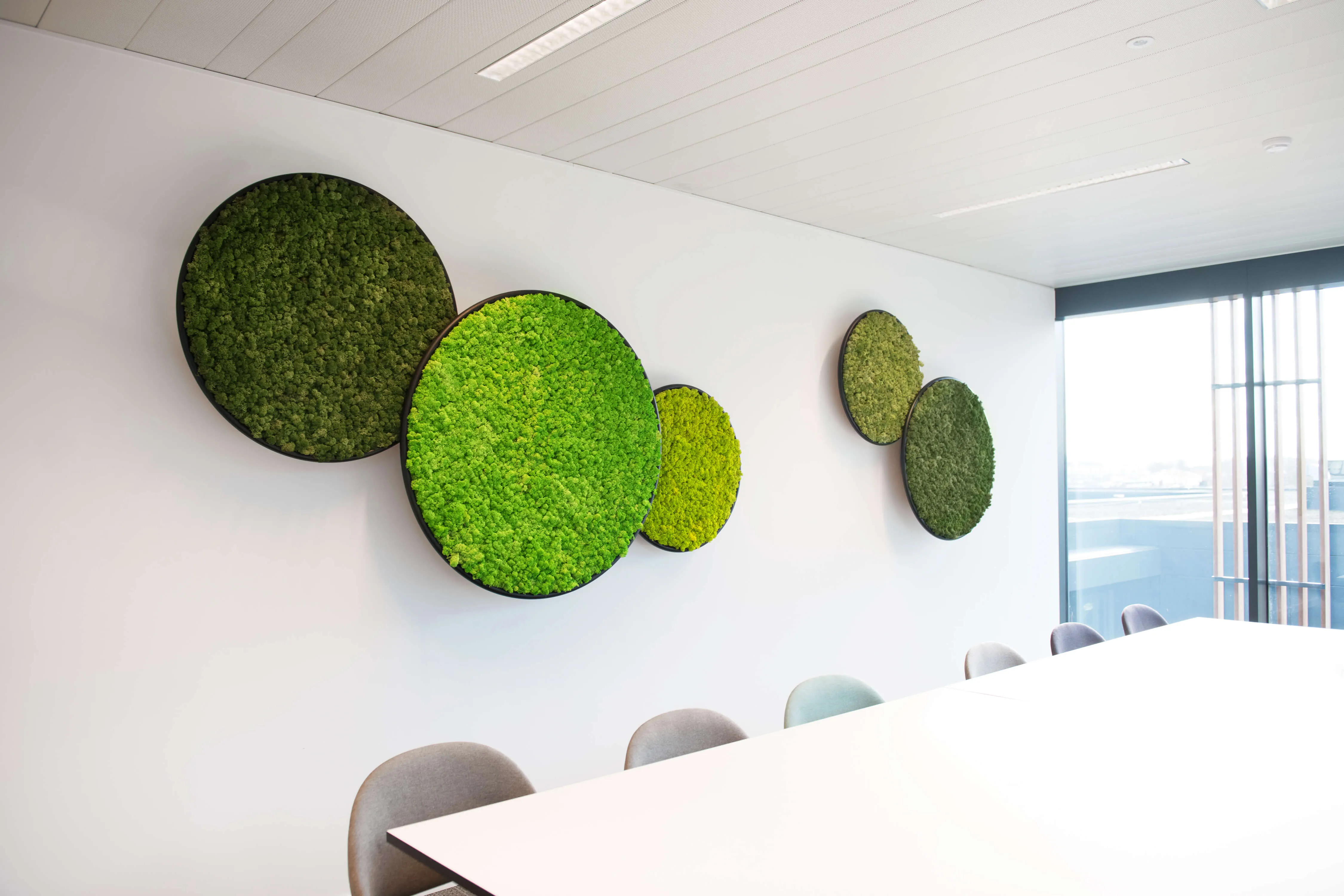 Circles Plant and Moss Wall Art