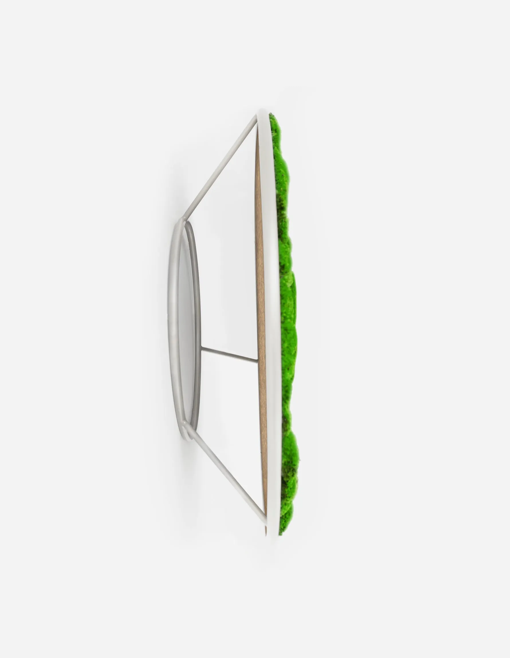 Circles Plant and Moss Wall Art