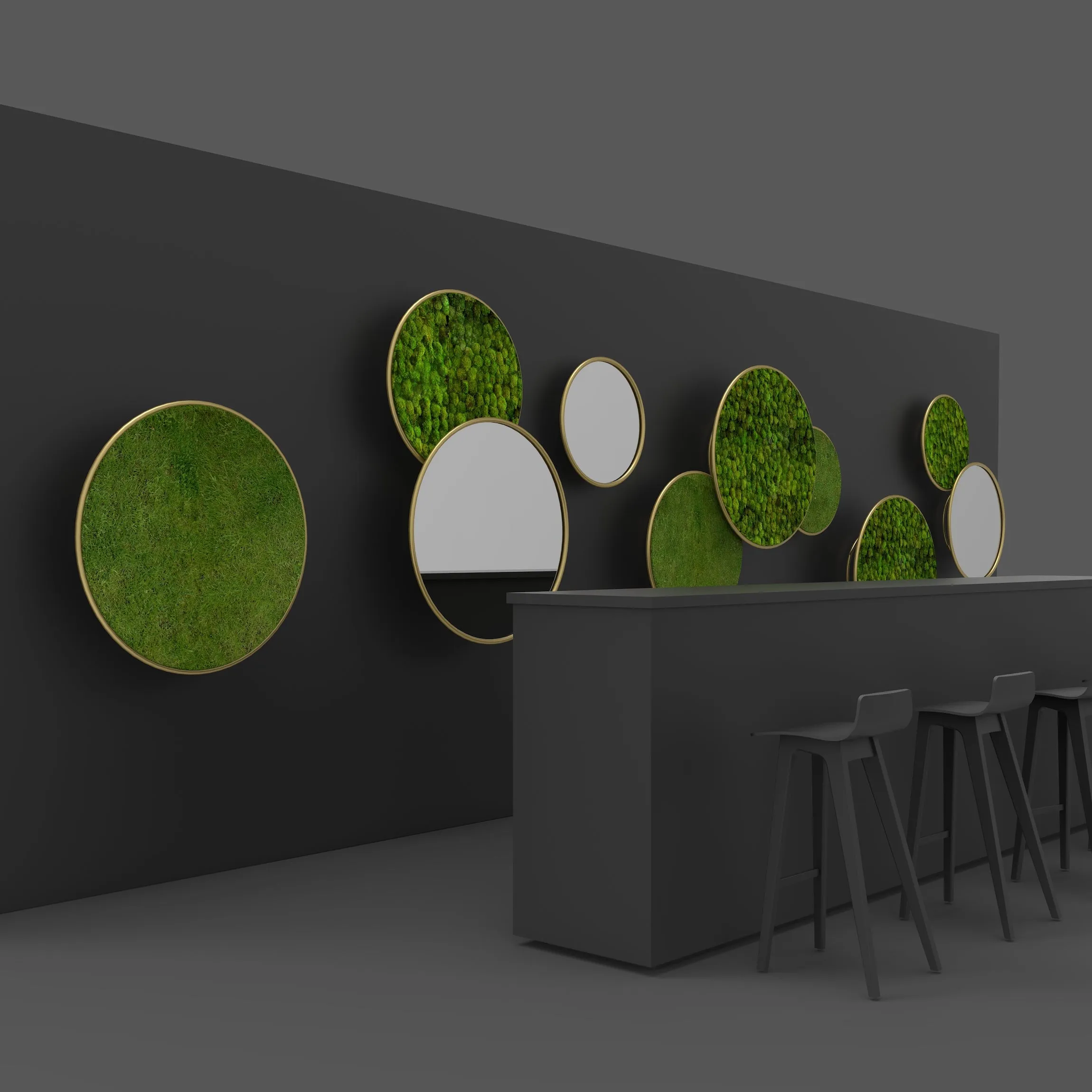 Circles Plant and Moss Wall Art