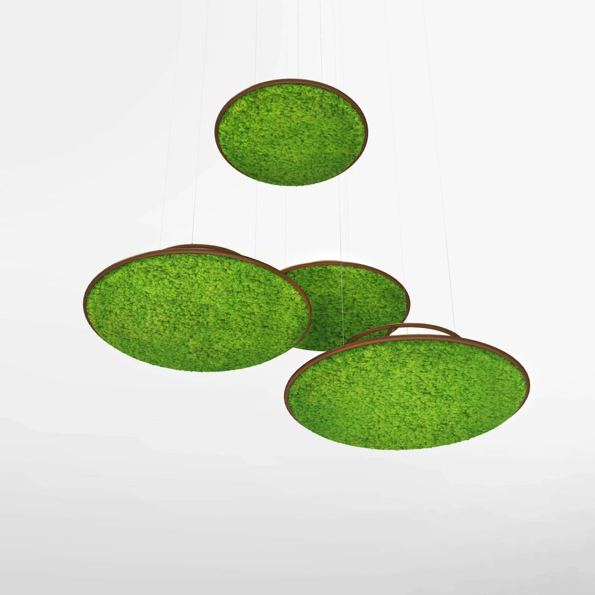 Circles Plant and Moss Wall Art