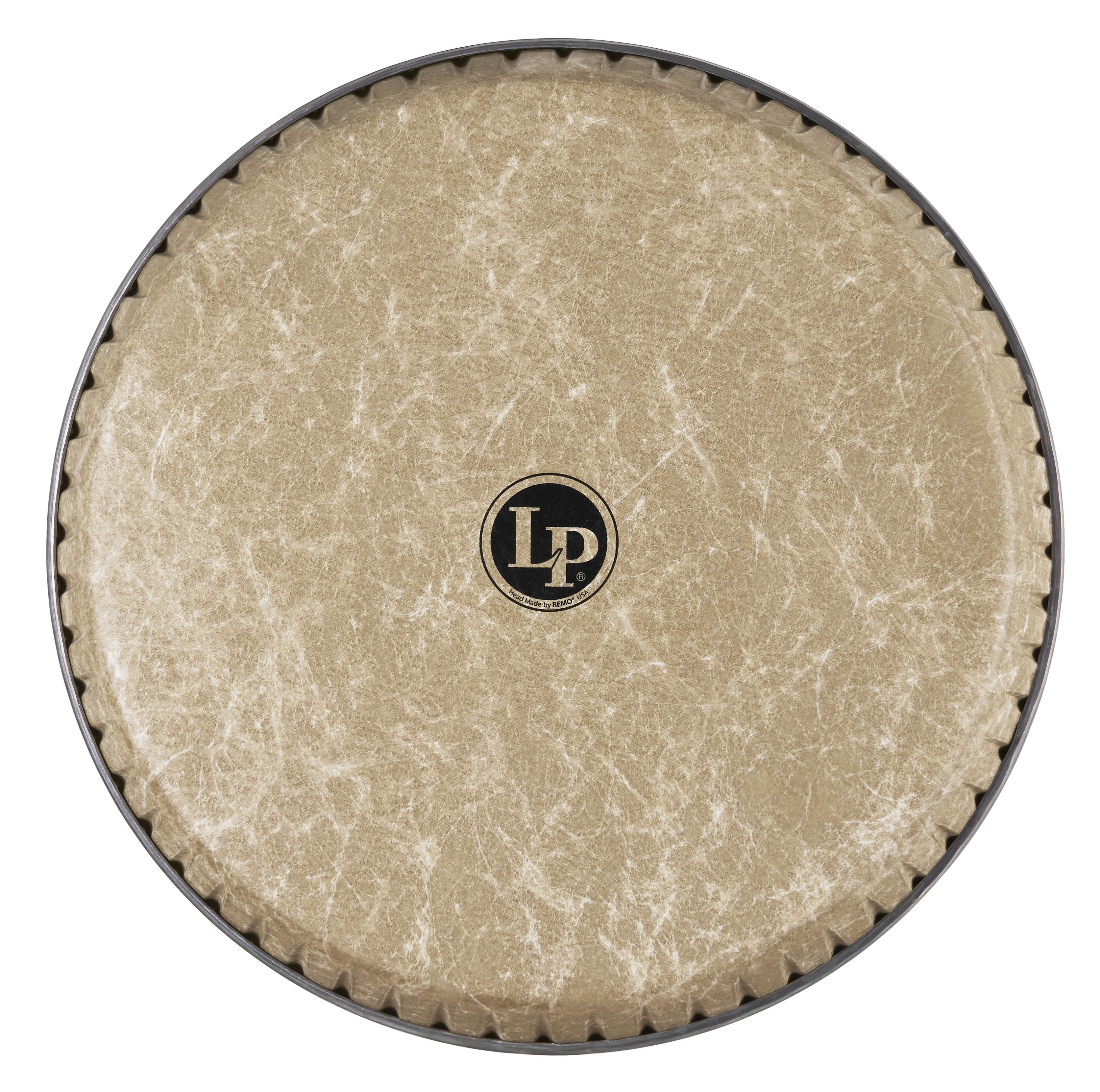 Fiberskyn Conga Head, 12-1/2"