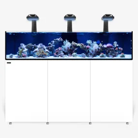 INFINIA Frag 175.6 PLUS Edition