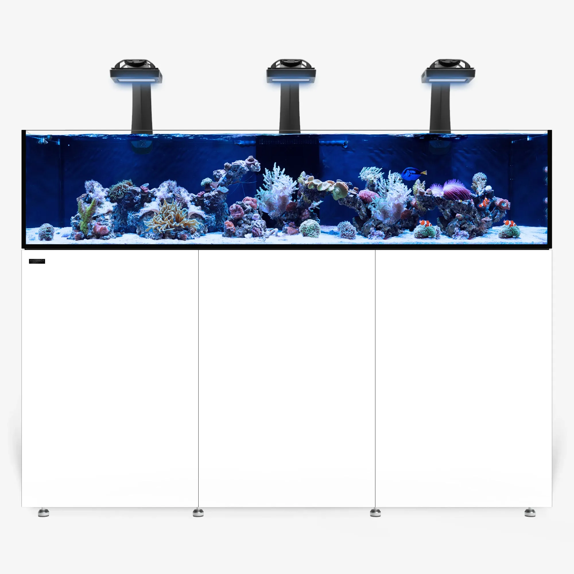 INFINIA Frag 175.6 PLUS Edition