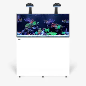 INFINIA Reef 150.4 PLUS Edition