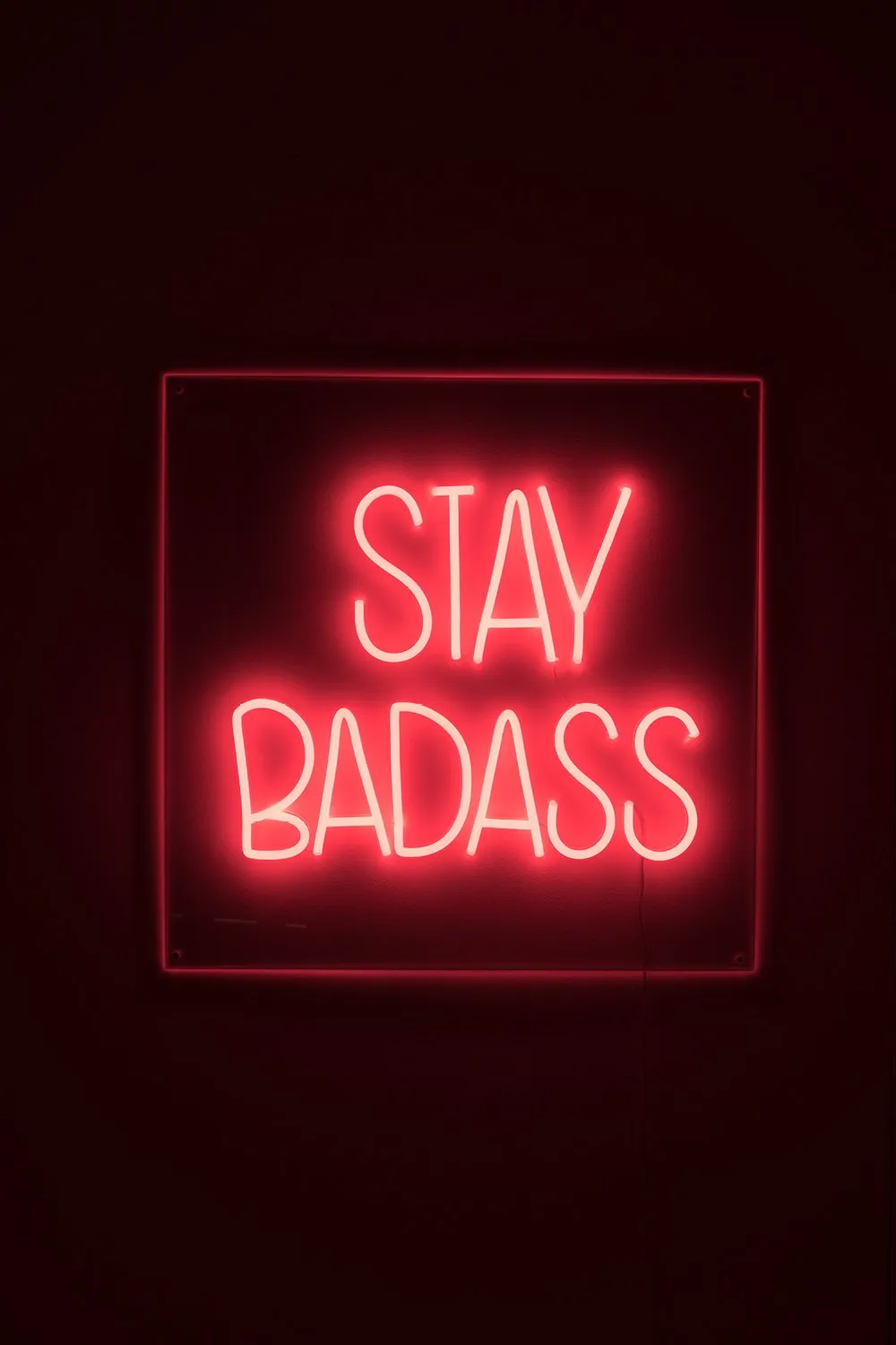 LED red neon sign | Bold Monkey Badass Non Social
