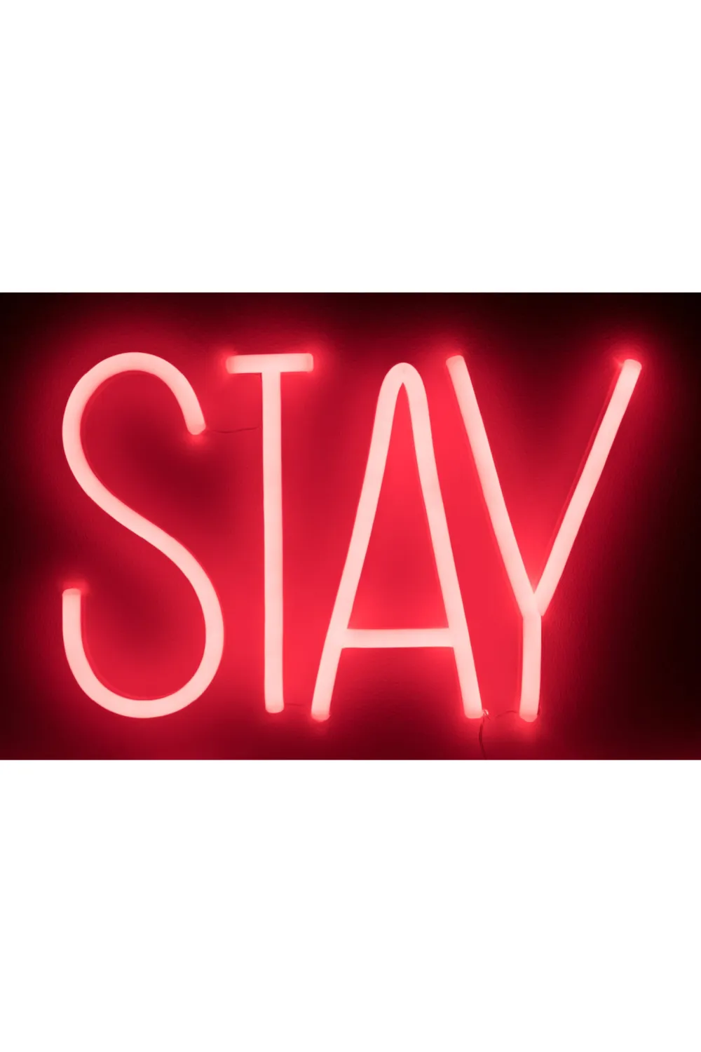 LED red neon sign | Bold Monkey Badass Non Social