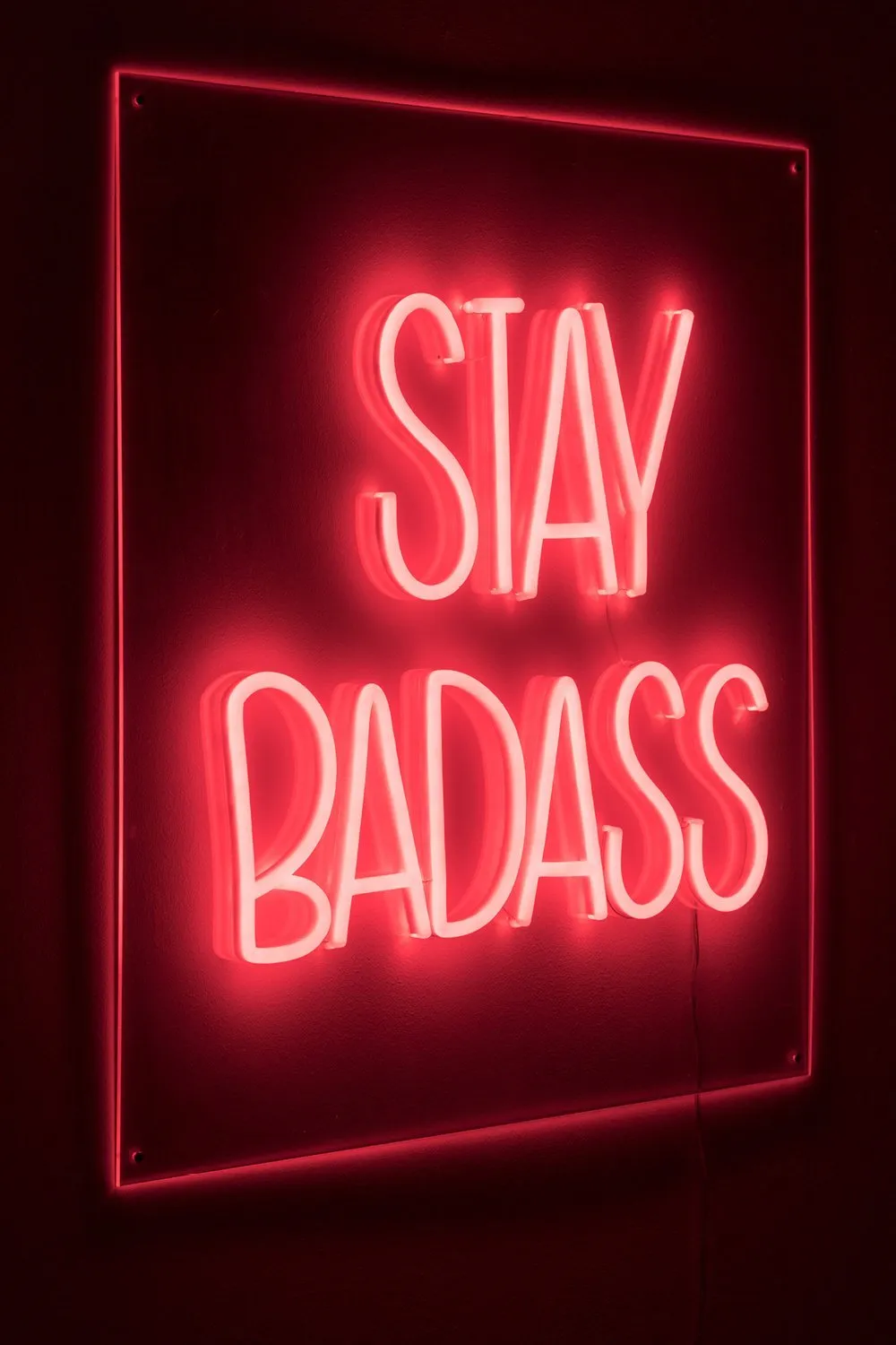 LED red neon sign | Bold Monkey Badass Non Social