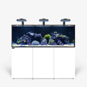 REEF LX 290.6 PLUS Edition