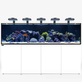 REEF LX 380.8 PLUS Edition