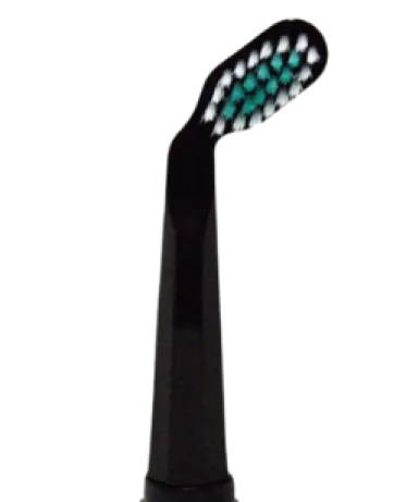 Replacement Toothbrush Heads Perio Black (Pack of 2)