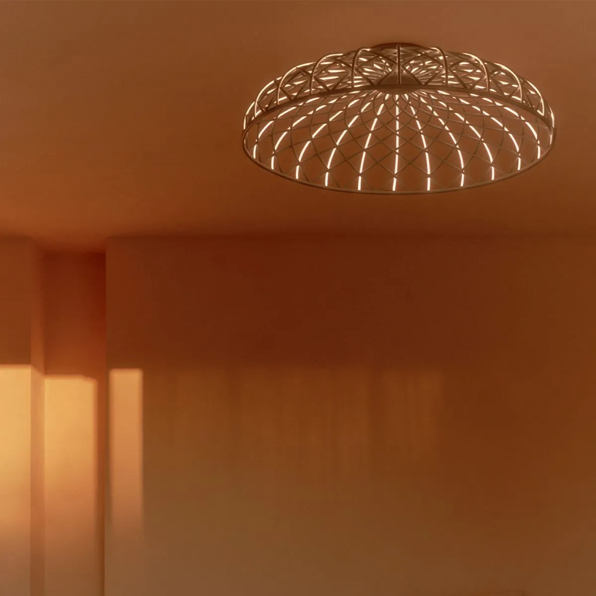 Skynest Ceiling Lamp