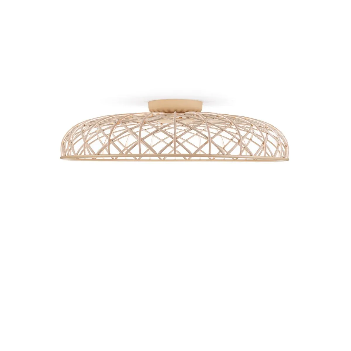 Skynest Ceiling Lamp