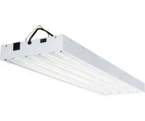 T5 4Ft 4 Tube 240V Fixture w/Bulbs