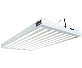 T5 4Ft 8 Tube Fixture w/Bulbs