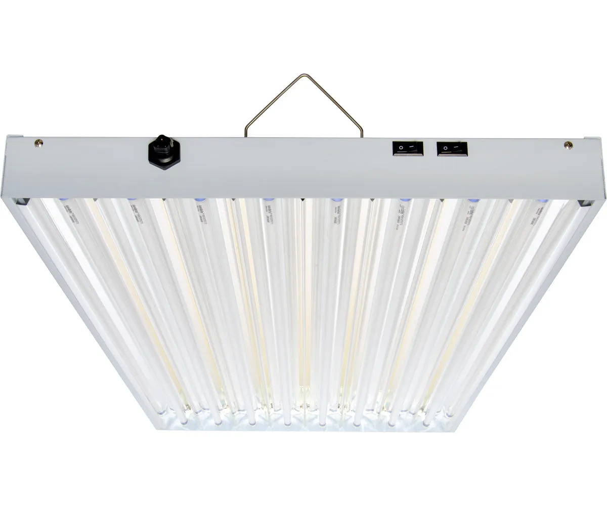 T5 4Ft 8 Tube Fixture w/o Bulbs 120-277V