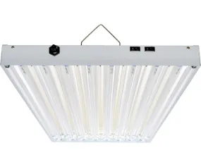 T5 4Ft 8 Tube Fixture w/o Bulbs 120-277V