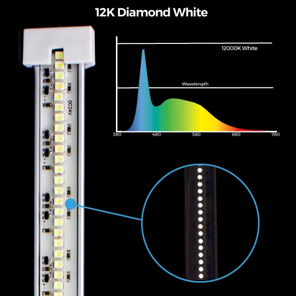 TrueLumen Pro LED Strip Light 12,000K - Current USA 48"