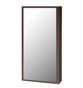 Vida Wallmount Vanity Mirror